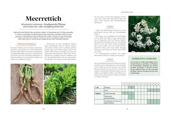 Produktbild: Der Survival-Garten - Gem&uuml;se- und Obstsorten, die allen Widrigkeiten trotzen