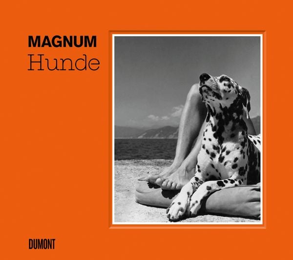 HUNDE, Gebundene Ausgabe von Magnum Photos, DuMont Buchverlag, 978-3-8321-9991-3
