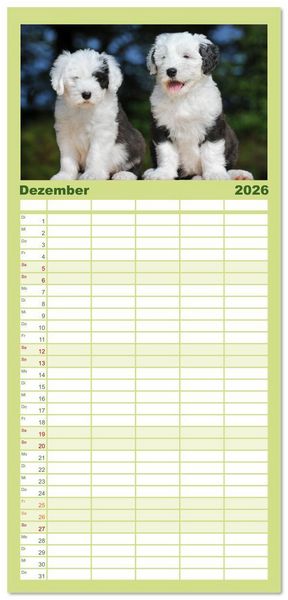 Produktbild: Familienplaner 2026 - In der Kinderstube bei Familie Bobtail mit 5 Spalten (Wandkalender, 21 x 45 cm) CALVENDO