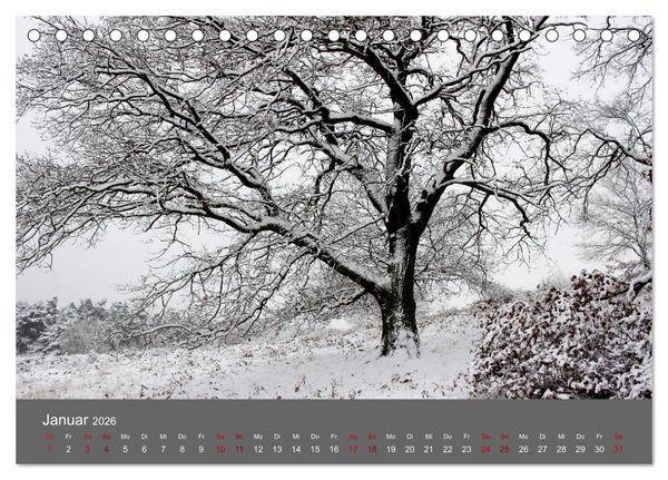 Produktbild: Wahner Heide - Aussichten und Begegnungen (Tischkalender 2026 DIN A5 quer), CALVENDO Monatskalender