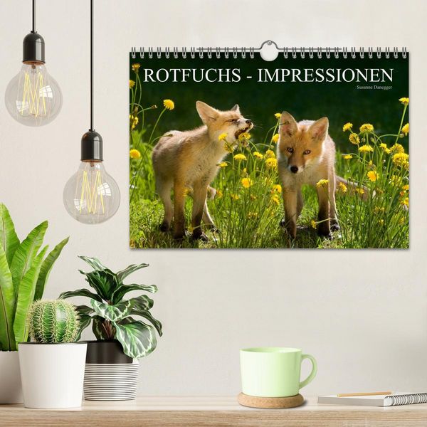 Produktbild: Rotfuchs - Impressionen (Wandkalender 2026 DIN A4 quer), CALVENDO Monatskalender