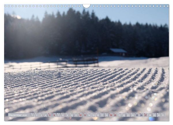 Produktbild: Mein Tirol und Alpenvorland (Wandkalender 2026 DIN A3 quer), CALVENDO Monatskalender