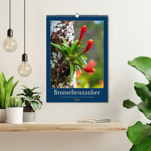 Produktbild: Bromelienzauber (Wandkalender 2027 DIN A3 hoch), CALVENDO Monatskalender