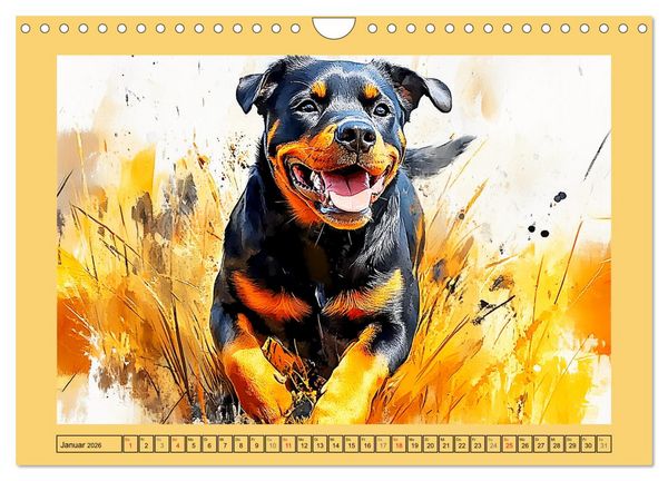 Produktbild: Kraftvolle Rottweiler. Stattliche Begleithunde im Aquarell-Stil (Wandkalender 2026 DIN A4 quer), CALVENDO Monatskalender