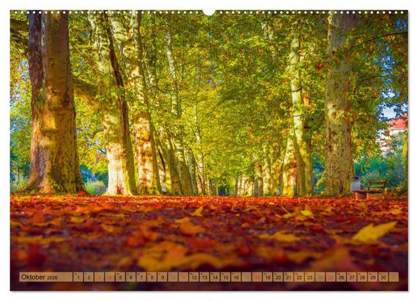Produktbild: T&uuml;bingen - Impressionen aus der Universit&auml;tsstadt (hochwertiger Premium Wandkalender 2026 DIN A2 quer), Kunstdruck in Hochglanz