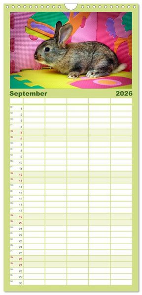 Produktbild: Familienplaner 2026 - Lustige Kaninchen mit 5 Spalten (Wandkalender, 21 x 45 cm) CALVENDO
