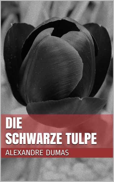 Produktbild: Die schwarze Tulpe