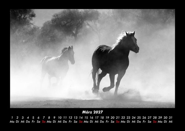 Produktbild: Pferde Kalender 2027 Fotokalender DIN A3