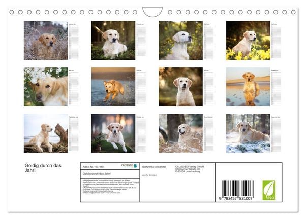 Produktbild: Goldig durch das Jahr! (Wandkalender 2026 DIN A4 quer), CALVENDO Monatskalender
