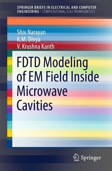 Produktbild: FDTD Modeling of EM Field inside Microwave Cavities