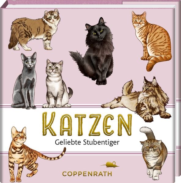 Produktbild: Katzen