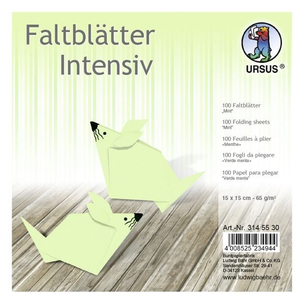 URSUS Falten Faltblätter Uni intensiv, Plakatkarton, 65 g/m², 15 x 15 cm, mint