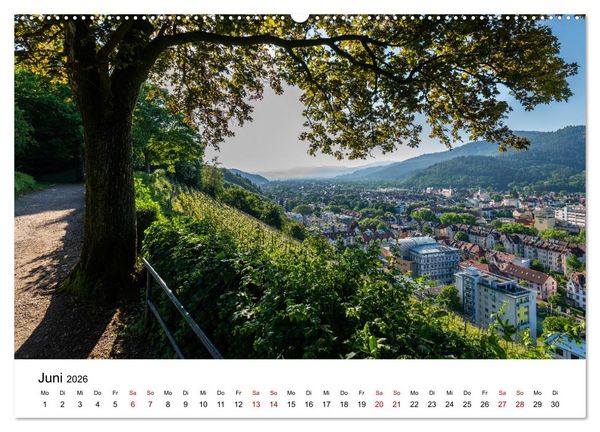 Produktbild: Freiburg, Drumherum (hochwertiger Premium Wandkalender 2026 DIN A2 quer), Kunstdruck in Hochglanz