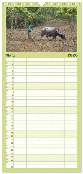 Produktbild: Familienplaner 2026 - K&uuml;he mit H&ouml;rnern mit 5 Spalten (Wandkalender, 21 x 45 cm) CALVENDO