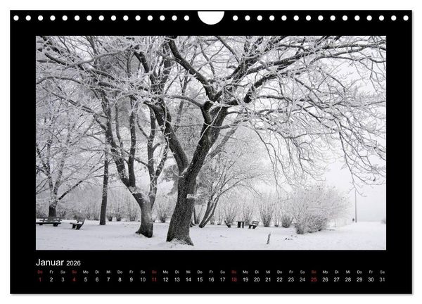 Produktbild: Taunus (Wandkalender 2026 DIN A4 quer), CALVENDO Monatskalender