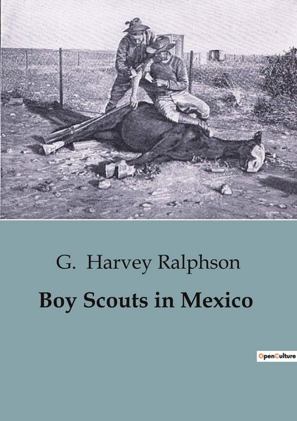 Produktbild: Boy Scouts in Mexico