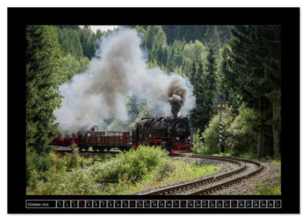 Produktbild: Steam Experience (Wall Calendar 2026 DIN A4 landscape), CALVENDO 12 Month Wall Calendar