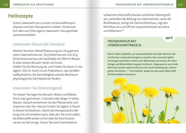 Produktbild: L&ouml;wenzahn - Wunderkraut f&uuml;r Resilienz und Lebenskraft. Kompakt-Ratgeber