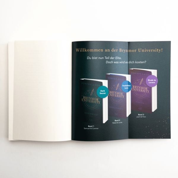 Produktbild: Brynmor University &ndash; Geheimnisse