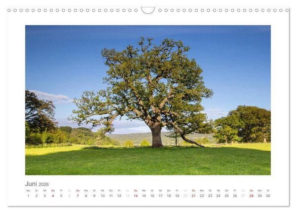 Produktbild: Wales / AT-Version (Wandkalender 2026 DIN A3 quer), CALVENDO Monatskalender