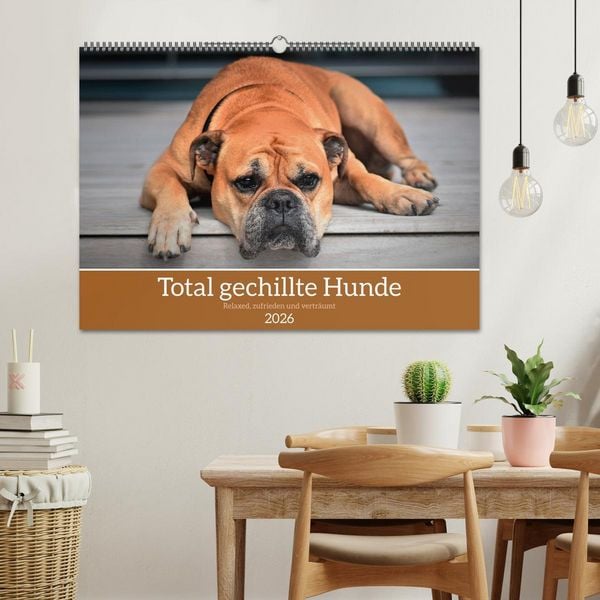 Produktbild: Total gechillte Hunde (Wandkalender 2026 DIN A2 quer), CALVENDO Monatskalender
