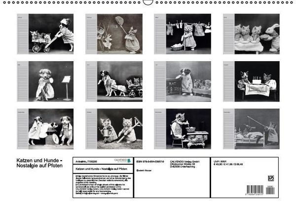 Produktbild: Katzen und Hunde - Nostalgie auf Pfoten (Wandkalender immerw&auml;hrend DIN A2 quer)