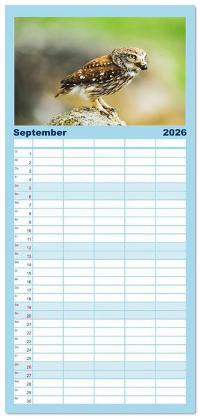 Produktbild: Familienplaner 2026 - Das Leben der Eulen, die Damen der Nacht mit 5 Spalten (Wandkalender, 21 x 45 cm) CALVENDO