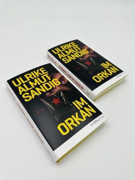 Produktbild: Im Orkan