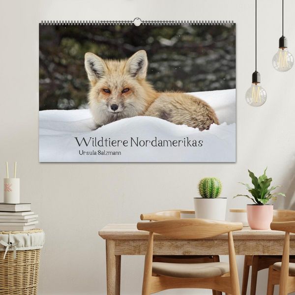 Produktbild: Wildtiere Nordamerikas (Wandkalender 2026 DIN A2 quer), CALVENDO Monatskalender