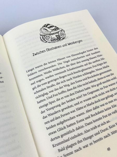 Produktbild: Fux Witterling und die Quelle der Magie