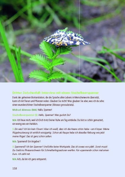 Produktbild: Besonders: Schmetterlinge