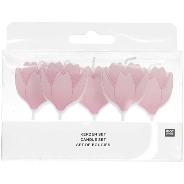 Produktbild: Kerzen Kirschbl&uuml;te, 5 Stk