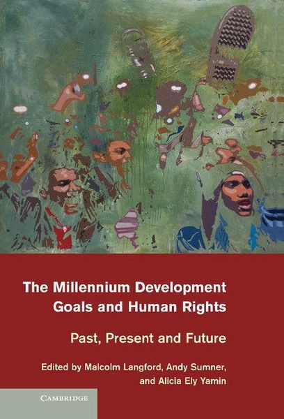 Produktbild: The Millennium Development Goals and Human Rights