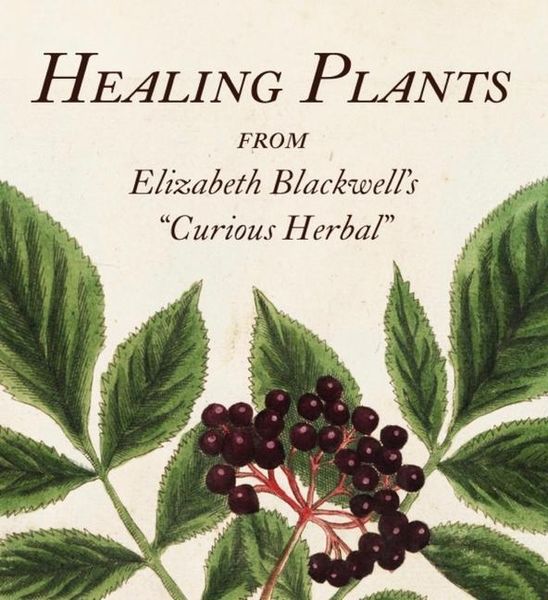 Produktbild: Healing Plants