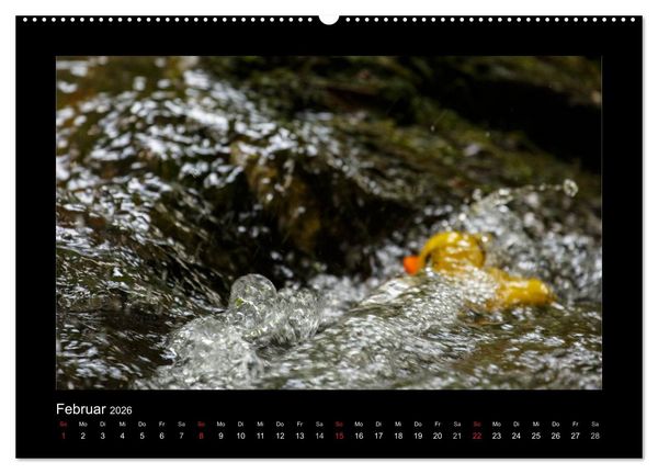 Produktbild: Enten-Rennen (hochwertiger Premium Wandkalender 2026 DIN A2 quer), Kunstdruck in Hochglanz