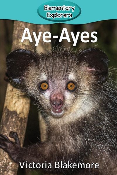 Produktbild: Aye-Ayes