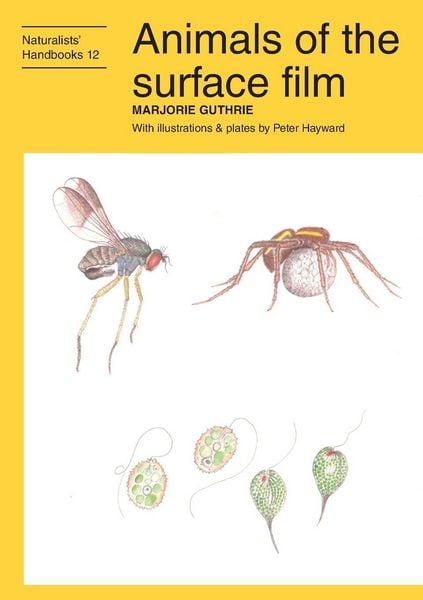 Produktbild: Animals of the surface film