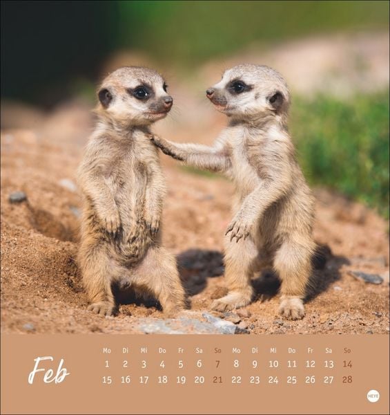 Produktbild: Erdm&auml;nnchen Postkartenkalender 2027