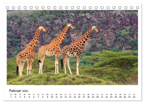 Produktbild: Tierparadies Kenia (Tischkalender 2026 DIN A5 quer), CALVENDO Monatskalender