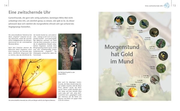 Produktbild: V&ouml;gel zu Gast im Garten - Heimische V&ouml;gel beobachten, bestimmen, sch&uuml;tzen.