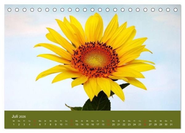 Produktbild: Sonnenblumen - die Blumen der Lebensfreude (Tischkalender 2026 DIN A5 quer), CALVENDO Monatskalender