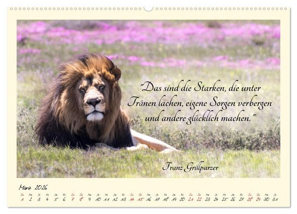 Produktbild: Gl&uuml;cksmomente Gl&uuml;cks-Zitate zu Fotos der gro&szlig;artigen s&uuml;dafrikanischen Tierwelt (hochwertiger Premium Wandkalender 2026 DIN A2 quer), Kunstdruck in Hochglanz
