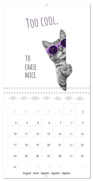 Produktbild: Purrfectly Cool Cats (Wall Calendar 2026 12 &times; 12 Inch) CALVENDO 12 Month Wall Calendar
