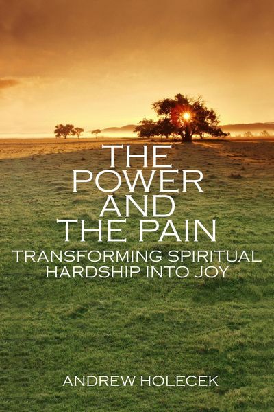 Produktbild: The Power and the Pain