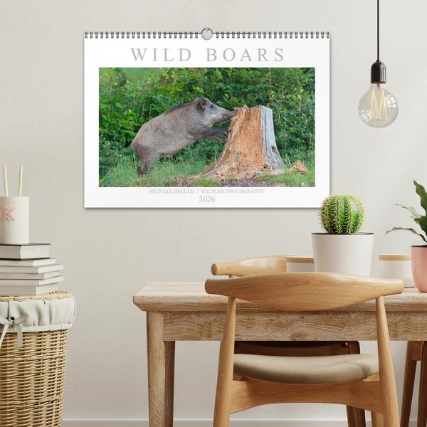 Produktbild: Wild Boars (Wall Calendar 2026 DIN A3 landscape), CALVENDO 12 Month Wall Calendar