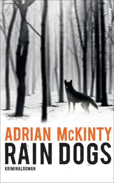 Produktbild: Rain Dogs - Kriminalroman (Sean-Duffy-Serie 5)