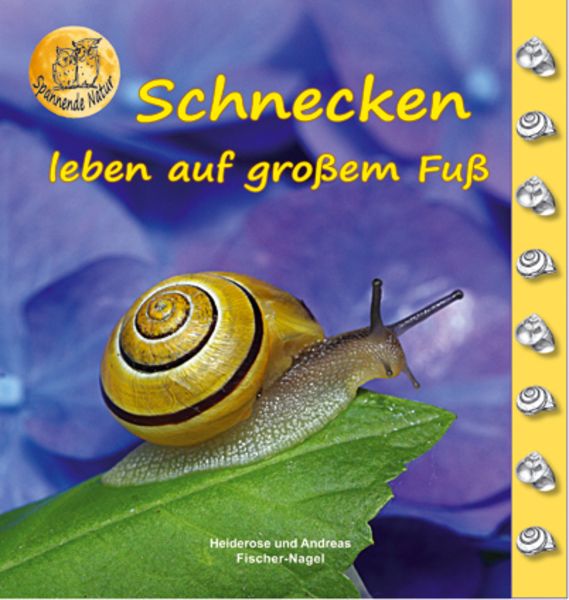 Schnecken, Gebundene Ausgabe von Heiderose Fischer-Nagel,Andreas Fischer-Nagel, Fischer-Nagel, H, 978-3-930038-22-0