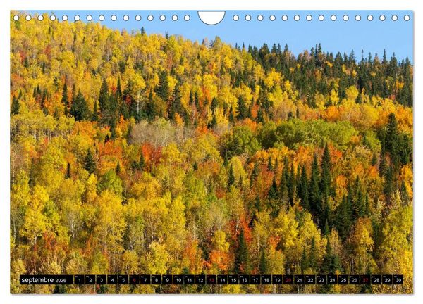 Produktbild: GASP&Eacute;SIE. Parc National du Qu&eacute;bec (Calendrier mural 2026 DIN A4 vertical), CALVENDO calendrier mensuel