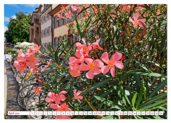 Produktbild: Freiburg - geht immer (Wandkalender 2026 DIN A2 quer), CALVENDO Monatskalender