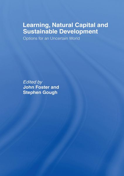 Produktbild: Learning, Natural Capital and Sustainable Development